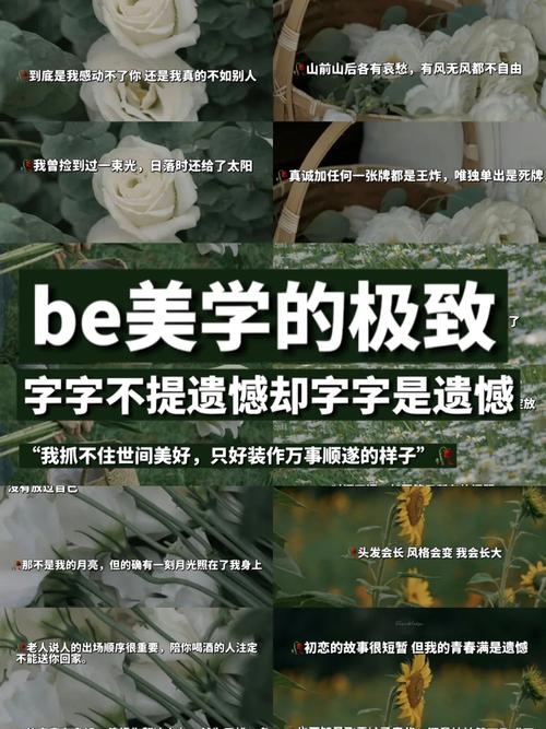 花瓣php源码技巧_王源Be美学的代表之作花瓣