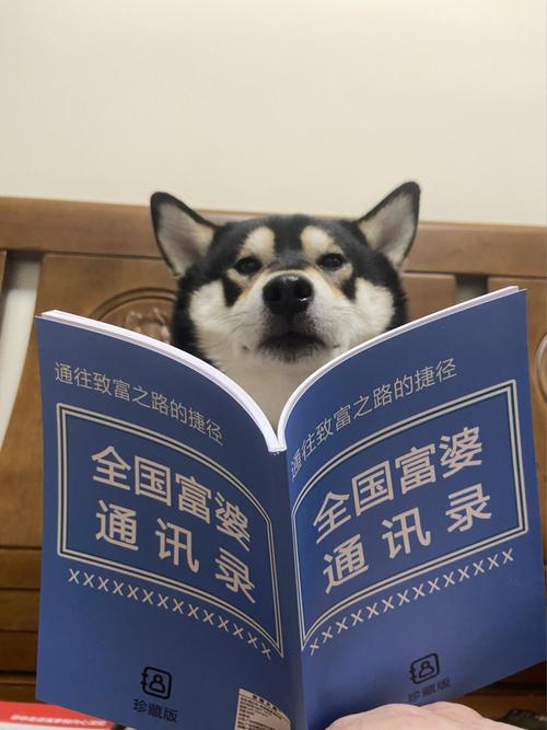福州php进修技巧_这个自学网站可以省几百万了长得帅的已经在进修的路上了