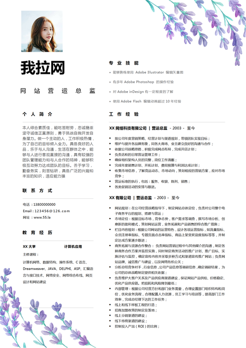 flashphpsqlserver技巧_运营总监简历专业技能怎么写