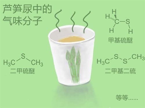 phpc混杂技巧_H3PO4和KOH化学活化芦笋树皮活性炭的制备和表征