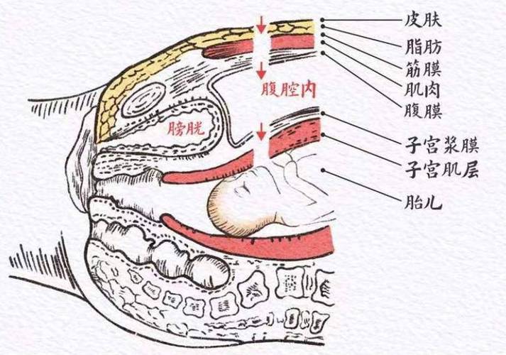 剖明php手机技巧_这样剖明成功几率翻一倍 还有这种操作