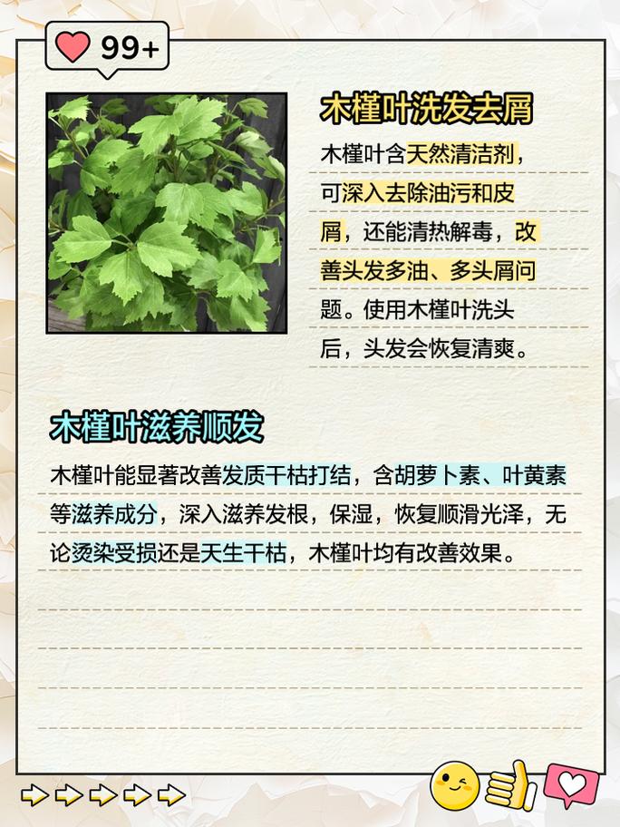 php1219技巧_人造叶子问世光合效率超天然叶子近10倍