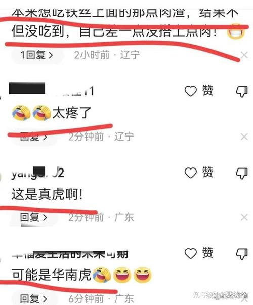 PHP妈呀年夜米技巧_各路明星催你展示真正的技能了