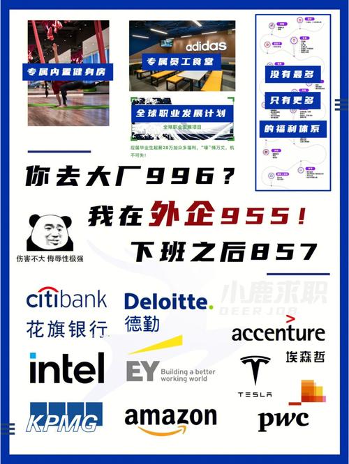 php外企雇用技巧_高分子专业要知道的事哪些企业会招聘你外企篇收藏