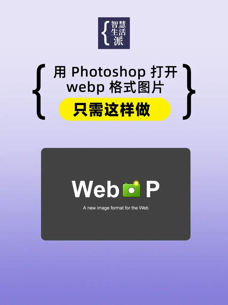 phpwebp插件技巧_下载的Webp格式图片打不开用两个插件解决问题