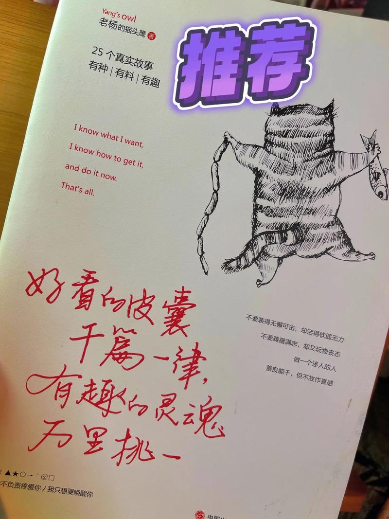 php画画代码技巧_好看的皮囊一模一样有趣的轨范员万里挑一代码中的有趣灵魂