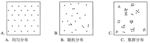 php怎么调剂格式技巧_一种树木聚集分布格局模拟方法