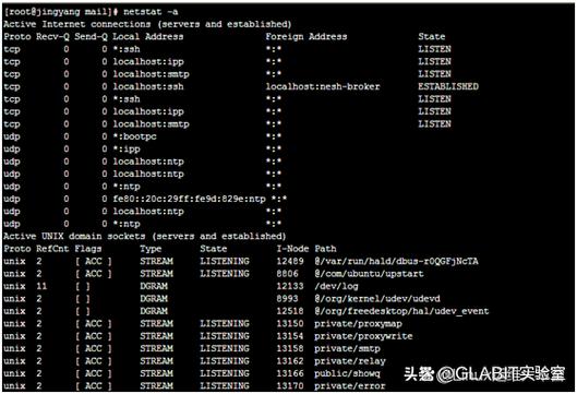 php监控过程状况技巧_监控Linux系统状态