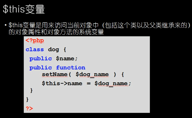 functionphp挪用变量技巧_PHP 变量
