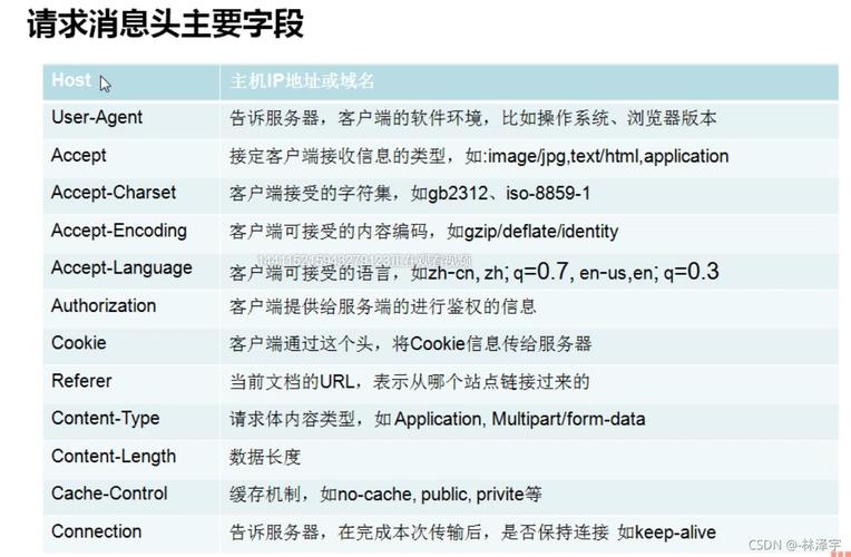 phphttphost域名技巧_收集攻防之http host字段