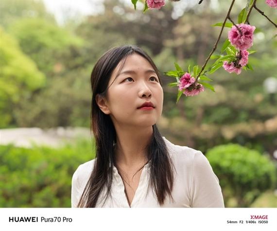 php整站转繁体技巧_不抠图怎么把英文图片转换为英文繁体图片这4个对象试试