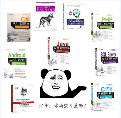编程小故事php技巧_故事他编程专业出身穿越到90年代他计算做一套做事器挣钱