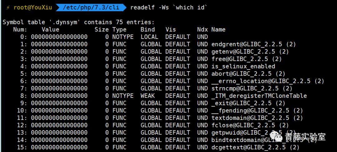 php平安模式绕过技巧_青藤云安然研究绕过php的disable_functions上篇