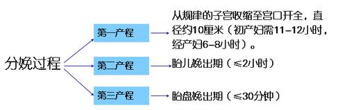 phpbpmnio技巧_不看后悔系列之免费好用的分娩力软件一