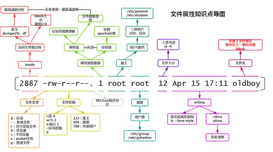 linuxphpchmod777技巧_Linux常用敕令chmod修改文件权限 777和755分别是什么意思