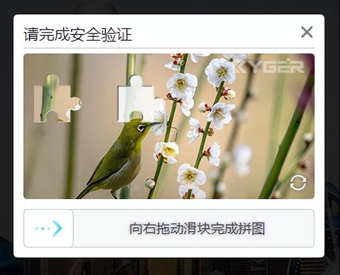 php防止反复刷新技巧_php若何自动刷新页面