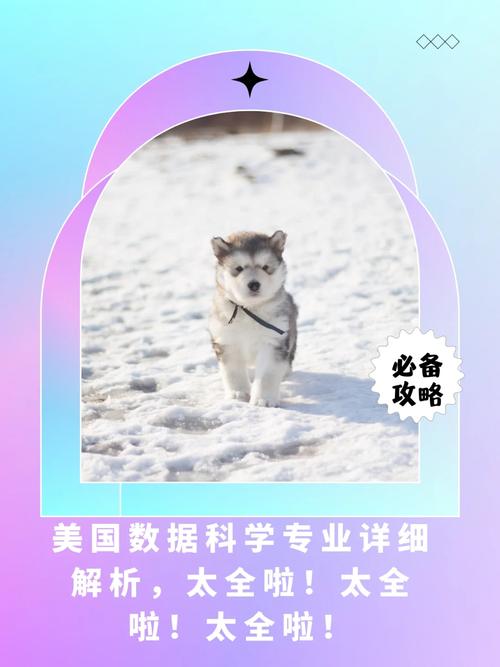 phpbcmath53322技巧_美国数学专业全攻略