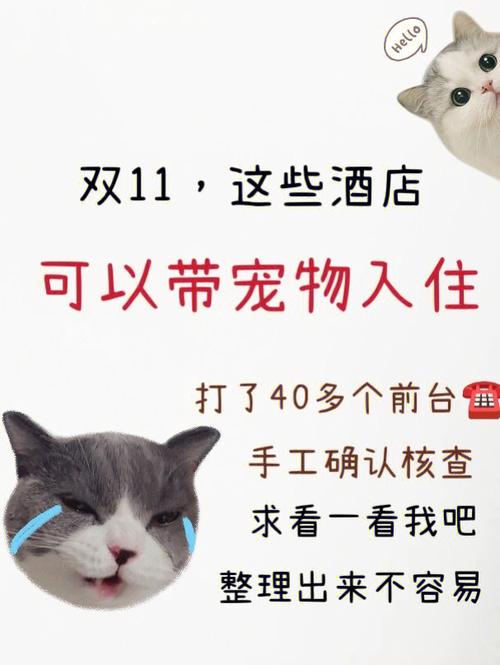 陌上酒店php源码技巧_铲屎官不雅光没带自己呆汪一怒之下离家出走1500公里也是可以啊