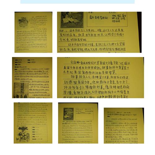 精晓php和c技巧_精晓c措辞能做什么