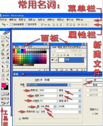 php护卫神wp技巧_WP菜鸟建站04安装控制面板治理做事器后台