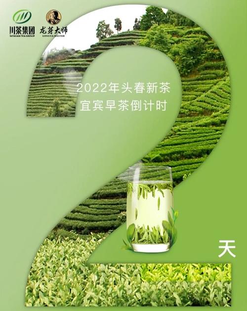Php旧道茶喷鼻技巧_有声剧|古道新生 茶喷鼻香万里