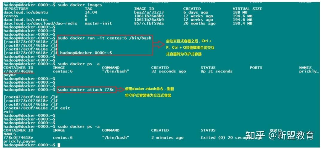 php获取当前hostname技巧_运维必备技能DockerConsol做事自动注册与创造