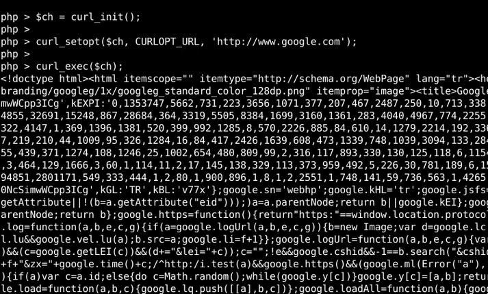 phpcurlgethttps技巧_现在写代码真的是粘贴复制为主具体案例说说