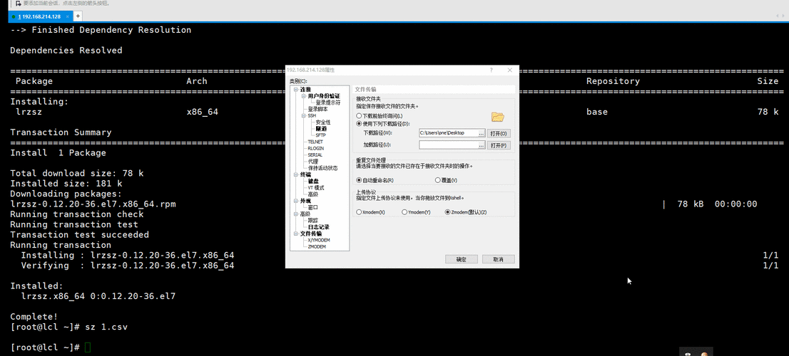 php动态输出shell技巧_10分钟入门Shell脚本编程