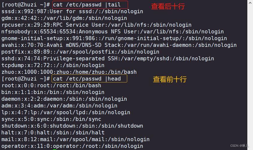 php吸收echo数据技巧_Shell echo敕令