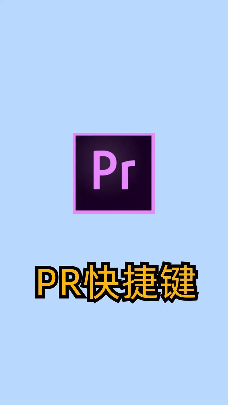 php应用pr标志技巧_pr标记入点和标记出点的快捷键