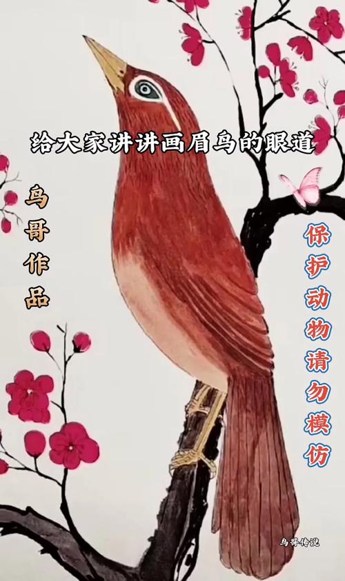 鸟哥php源码技巧_PHP探秘我与鸟哥 Yar 的亲密接触
