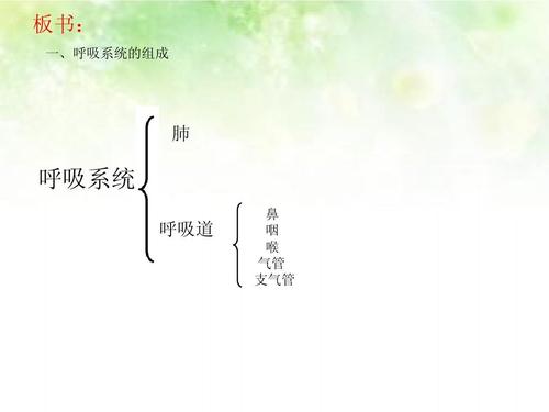 php应用if输出空气技巧_家里空气有点甜小孩就要呼吸干净的空气