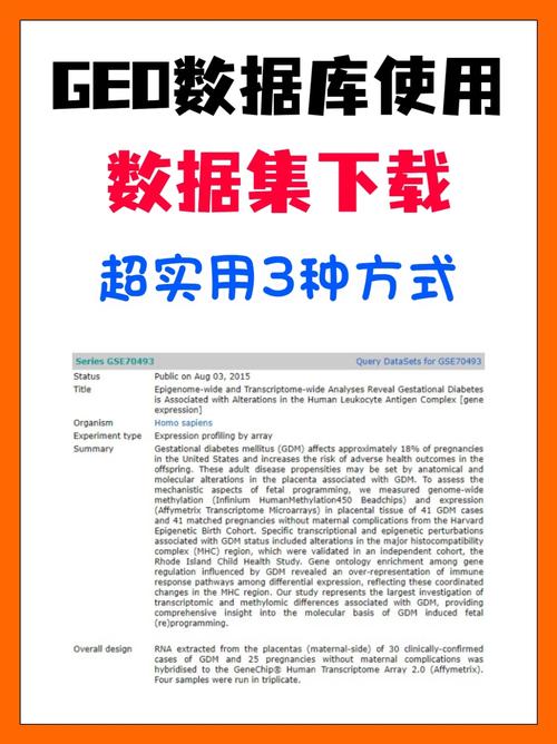 php指定下载字节技巧_用R下载GEO数据库中的指天命据