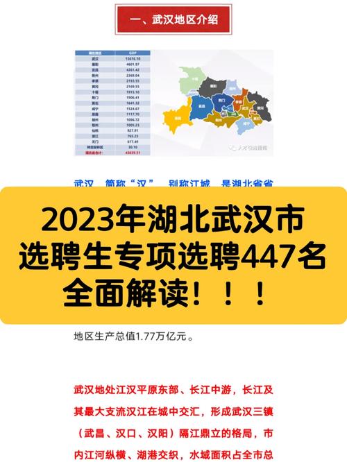 武汉三年php技巧_2023武汉临空港经济技能开拓区器械湖区招聘聘任制教师283人