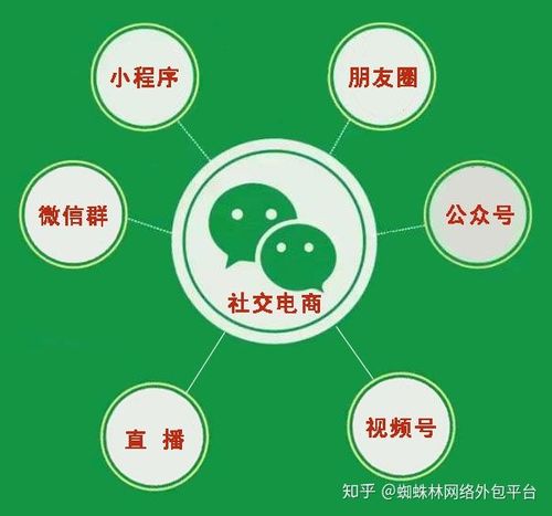 介绍微信网站,社交巨头的网络家园