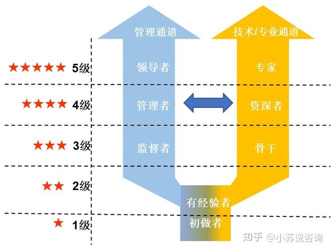 介绍网站设计师收入,薪资水平、职业前景与发展路径