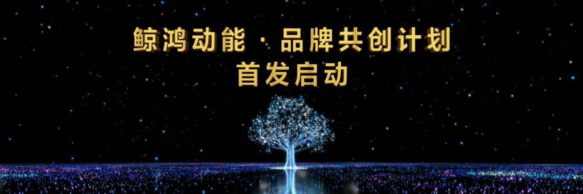优化,助力个人与企业发展,激发无限潜能