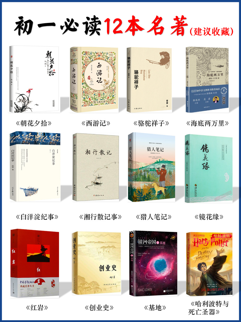 名书网站,数字时代的知识宝库
