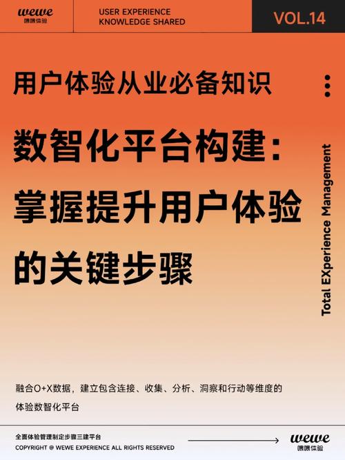 基于d语言构建网页,技术革新与用户体验的完美融合