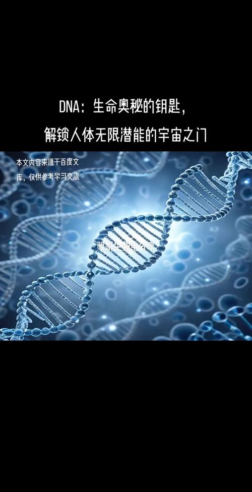 基因编程,揭开生命奥秘的钥匙
