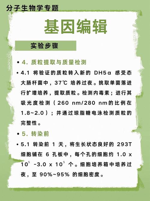 引物设计网站i,助力科研人员高效探索基因奥秘