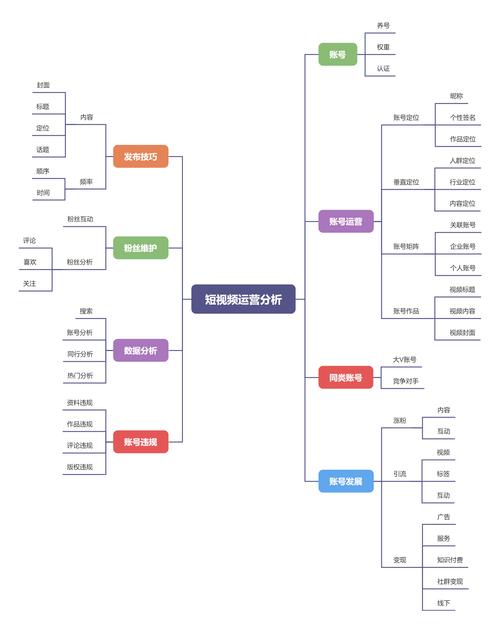 打造流媒体视频网站,技术架构与运营步骤分析