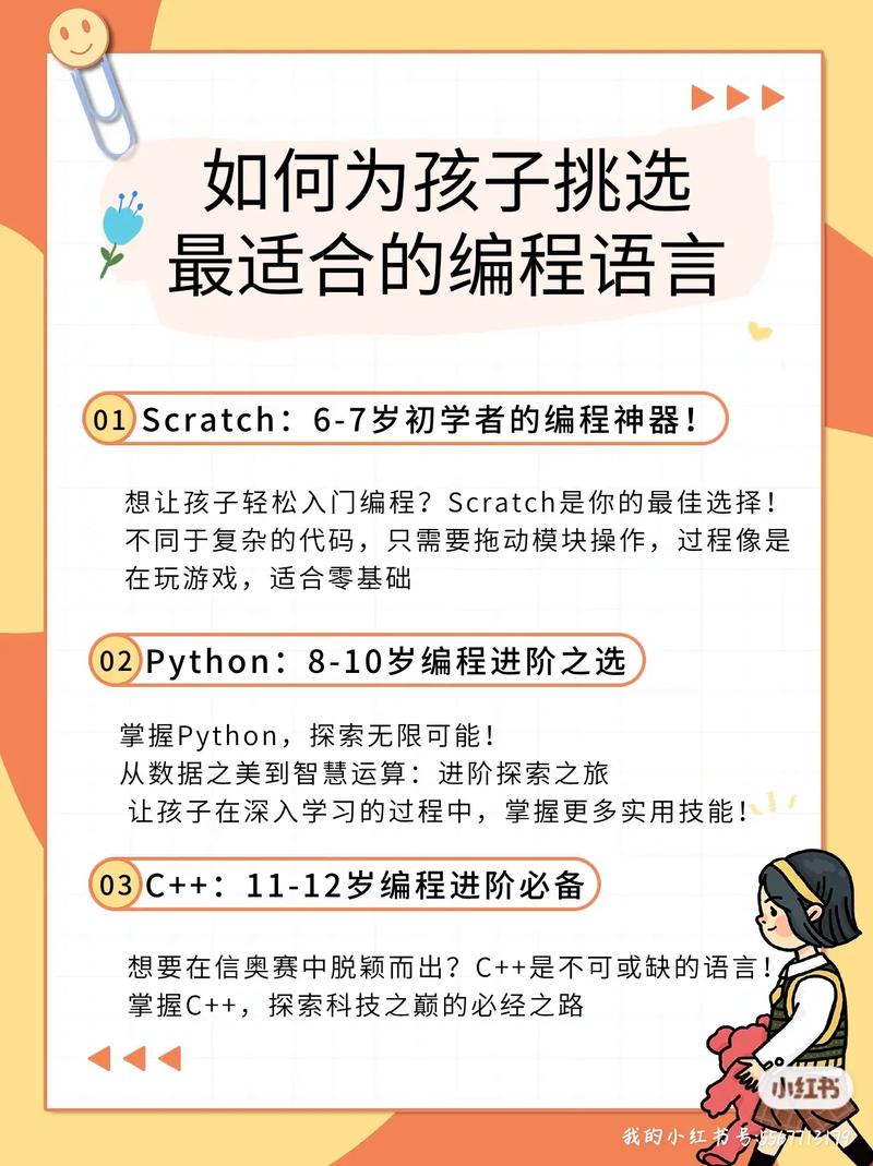 探寻程序代码的奥秘,编程的艺术与智慧