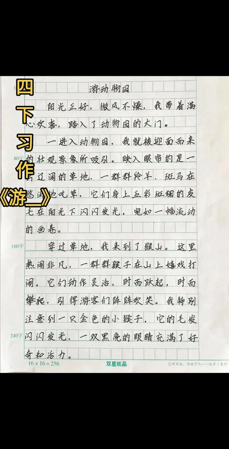 探秘动物园,走进自然,感受生命的奇妙之旅
