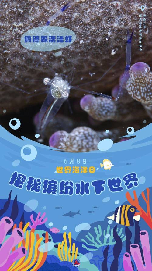 探索海洋奥秘,eo公司引领海洋科技前沿