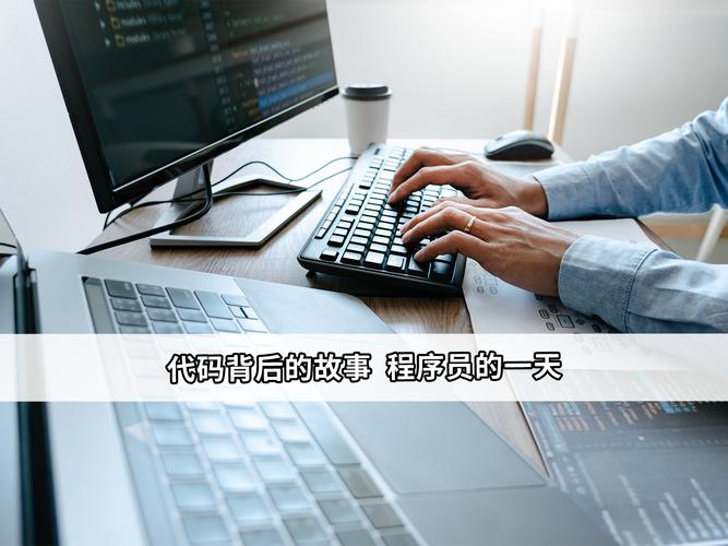 探索甜甜圈程序的智慧,代码背后的艺术与科学