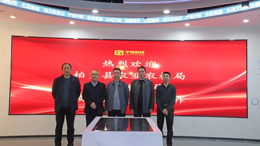 柏乡县网站搭建,打造区域信息化新平台,助力县域经济腾飞