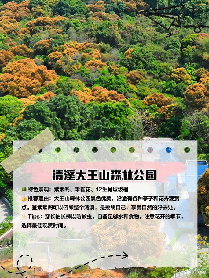 清溪江网站,介绍自然之美,品味生态魅力