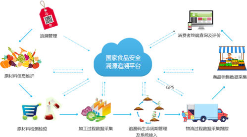 溯源网站设计,科技赋能,守护食品安全